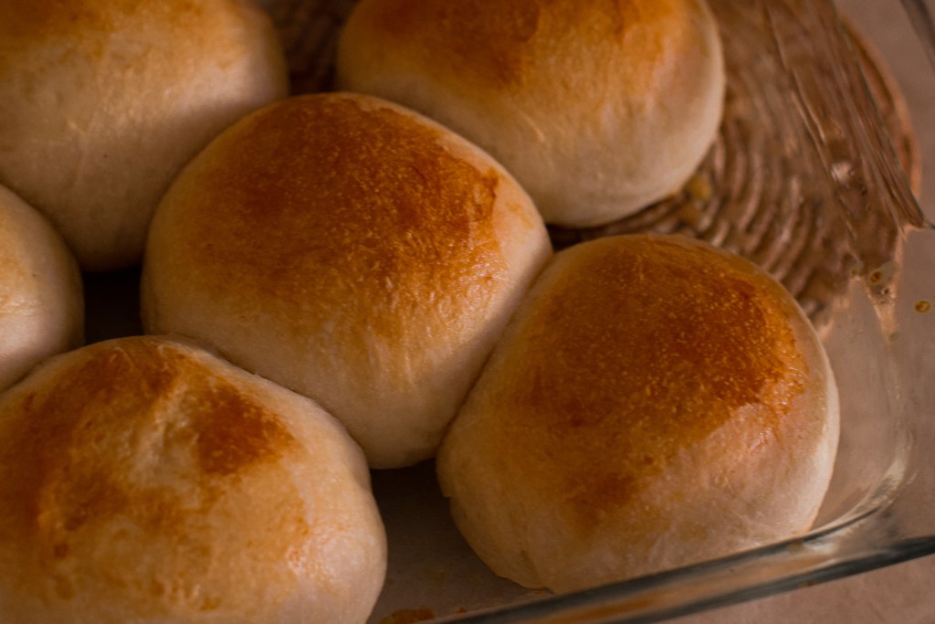 Homemade Sourdough Dinner Rolls are the perfect pairing for many a from-scratch-dinner. This recipe is quick, simple, and produces rolls! 